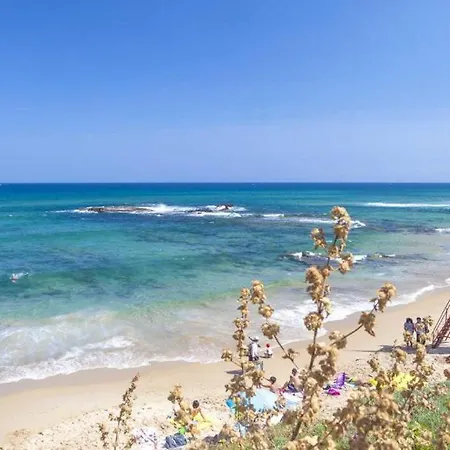 Bastet House * 카스텔사르도